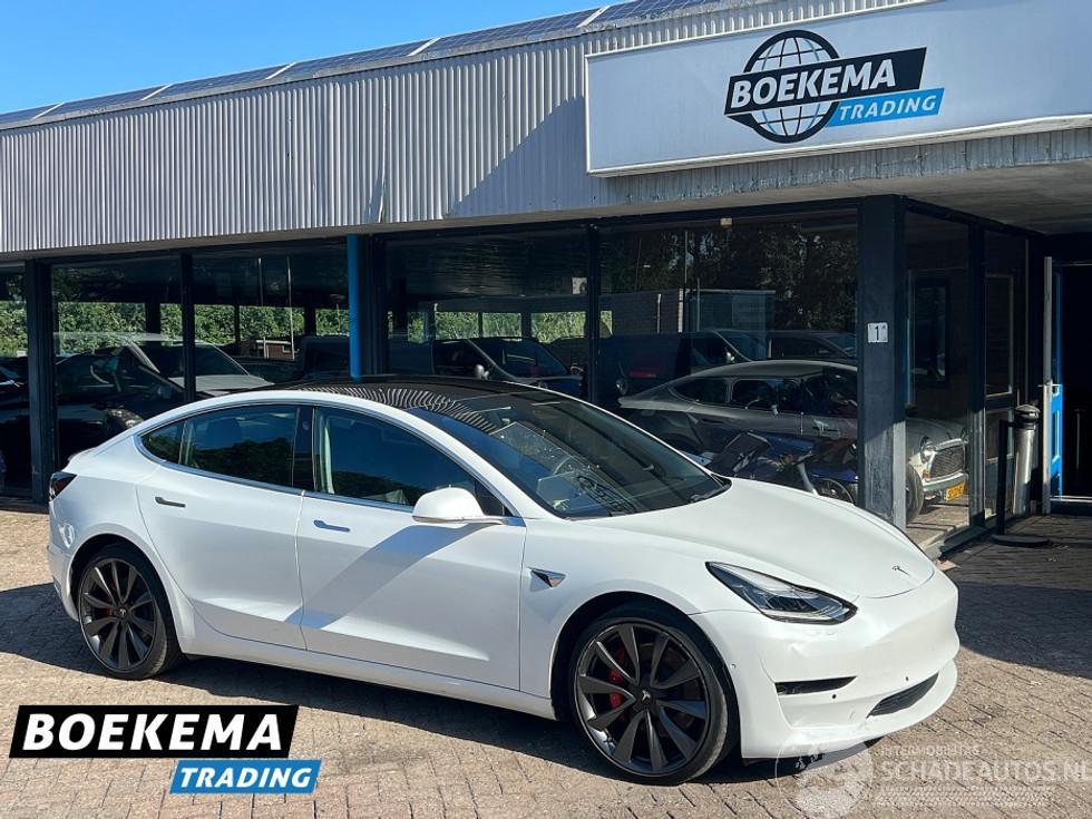 Tesla Model 3 Performance AWD 75 kWh Dual Motor Panorama