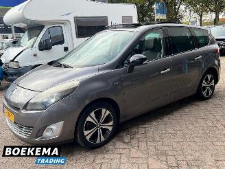 Renault Grand-scenic 2.0 Bose Panorama Camera Navi Cruise Clima picture 4