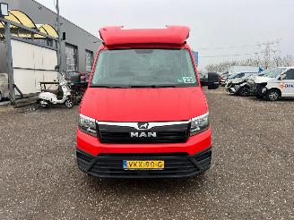 MAN TGE 35 2.0 Lang picture 43