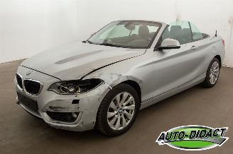 Schadeauto BMW 2-serie 220 cabrio Automaat Navi 2015/3