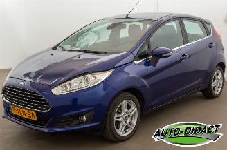 Schadeauto Ford Fiesta 1.0 EcoBoost Clima Navi Titanium 2014/3