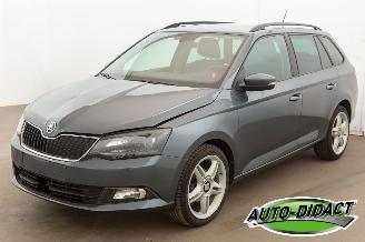 uszkodzony samochody osobowe Skoda Fabia 1.0 TSI Clima Navi 120.179 km 2018/4
