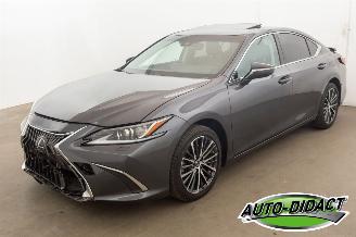 skadebil auto Lexus ES 300 Hybrid 33.094 km Carpas Clima Navi Leder Camera 2023/5