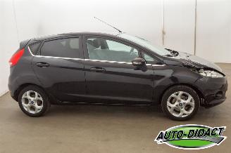 Ford Fiesta 1.25 Airco Titanium picture 38