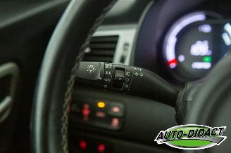 Kia e-Niro DynamicLine 64 kWh 62.924 km Navi Clima Camera picture 16