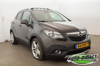 Opel Mokka 1.4T Clima Navi Camera Elek Dak Innovation picture 2