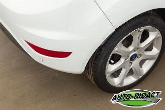 Ford Fiesta 1.25 Clima picture 27