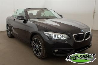 BMW 2-serie 218i Cabrio Clima Navi CARPAS picture 2