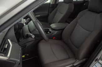 Toyota Rav-4 2.5 Hybrid AWD Clima Navi Camera Elek Dak picture 27