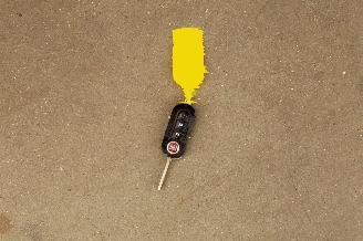 Fiat Punto 0.9 TwinAir Street Airco picture 29