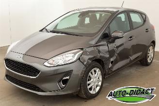 Unfallwagen Ford Fiesta 1.0 Airco 2019/9