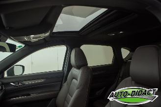 Mazda CX-5 2.0 SAG Automatic 2WD 165 Takumi picture 24