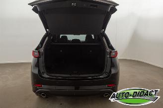 Mazda CX-5 2.0 SAG Automatic 2WD 165 Takumi picture 36