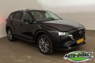 Mazda CX-5 2.0 SAG Automatic 2WD 165 Takumi picture 3