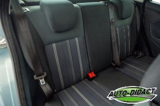 Ford Fiesta 1.25 Airco Limited picture 18