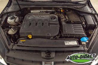 Volkswagen Golf 1.6 TDI Clima Navi Trendline picture 34