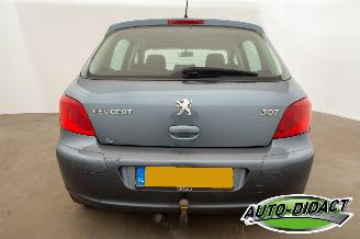 Peugeot 307 1.6-16V Clima Oxygo picture 36
