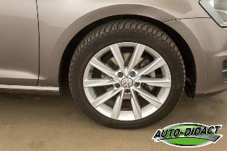 Volkswagen Golf 1.4 TSI Clima Navi Trendline picture 38
