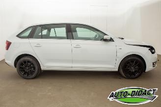 Skoda Rapid 1.0 TSI Automaat Clima Navi Greentech Clever picture 39