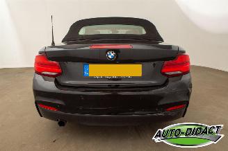 BMW 2-serie 218i Automaat Navi Camera Leder Clima picture 42