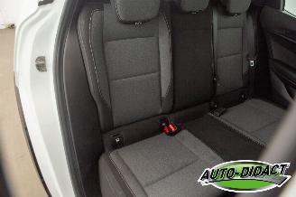 Renault Mégane E-Tech Auto Rijd !!! SOH 95% EV60 Optimum Charge Business Ed. picture 26