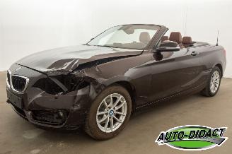 krockskadad bil auto BMW 2-serie Cabrio 218i Navi Leder Airco 2015/7