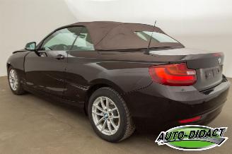 BMW 2-serie Cabrio 218i Navi Leder Airco picture 7