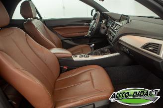 BMW 2-serie Cabrio 218i Navi Leder Airco picture 26