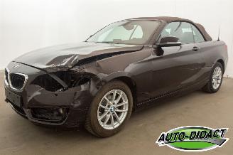 BMW 2-serie Cabrio 218i Navi Leder Airco picture 5