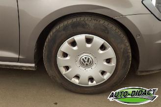 Volkswagen Golf 1.6 TDI Clima Navi Trendline picture 33