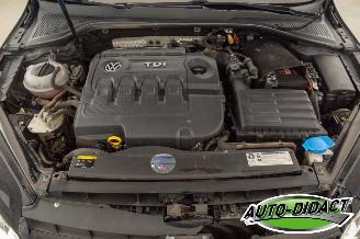 Volkswagen Golf 1.6 TDI Clima Navi Trendline picture 34