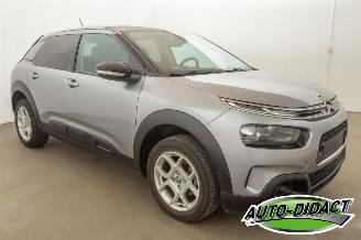 Citroën C4 cactus 1.2 - 96006 KM - Navi - Camera picture 2