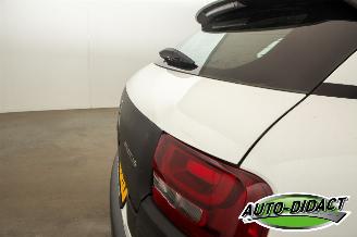 Citroën C4 cactus 1.2 PureTech Clima Camera Feel picture 28