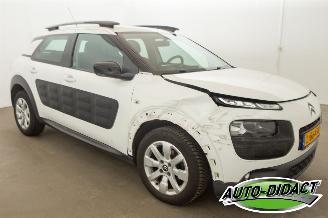 Citroën C4 cactus 1.2 PureTech Clima Camera Feel picture 2