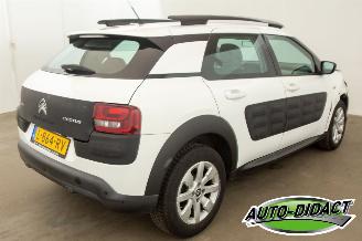 Citroën C4 cactus 1.2 PureTech Clima Camera Feel picture 4