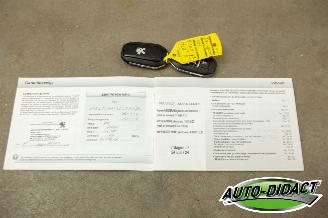 Peugeot 308 1.6 THP Navi Clima Premiere picture 18