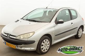  Peugeot 206 1.4 Automaat Pop Art 2004/8