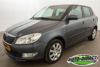 bruktbiler bedrijf Skoda Fabia 1.2 TSI Airco Ambition 2010/10