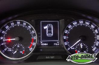 Skoda Rapid 1.6 TDI Clima Greentech Ambition picture 6