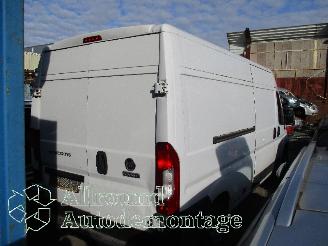 Fiat Ducato Ducato (250) Van 2.3 D 130 Multijet (F1AGL411D(Euro 6)) [96kW]  (08-20=
06/...) picture 5