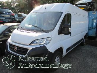 Salvage car Fiat Ducato Ducato (250) Van 2.3 D 130 Multijet (F1AGL411D(Euro 6)) [96kW]  (08-20=
06/...) 2017