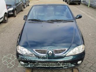 Renault Mégane Megane (EA) Cabrio 1.6 16V Sport (K4M-701) [79kW]  (03-1999/07-2003) picture 5