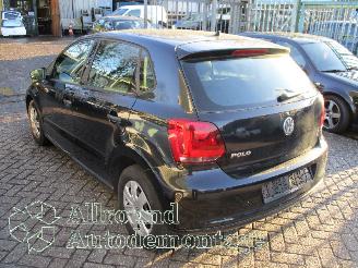 Volkswagen Polo Polo V (6R) Hatchback 1.2 12V (CGPB(Euro 5)) [44kW]  (06-2009/05-2014)= picture 4