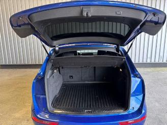 Audi SQ5 3.0 TFSi Quattro tiptronic Panorama/Kamera picture 13