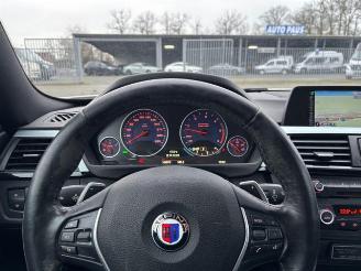 Alpina   picture 15