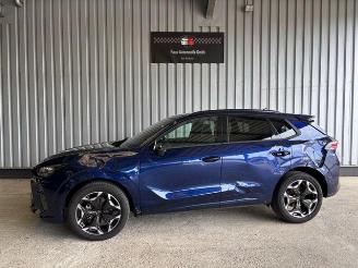 Damaged car Cupra Terramar 1.5 eTSI Head-Up / LED 2025/8