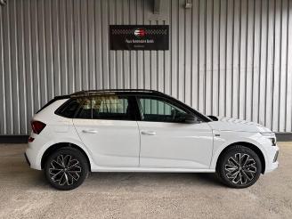 Skoda Kamiq Selection Tour DSG picture 7