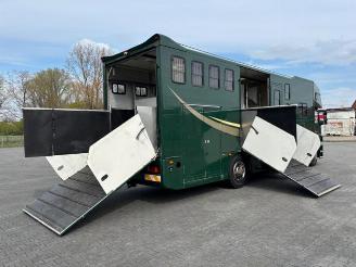 Mercedes Atego 1828L Pferdetransport 8 Pferde / Living picture 10