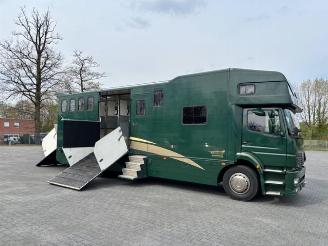 Mercedes Atego 1828L Pferdetransport 8 Pferde / Living picture 9