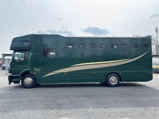 Mercedes Atego 1828L Pferdetransport 8 Pferde / Living picture 8